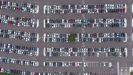 Aerial-top-down-view-of-a-parking-lot-with-one-tree-and-full-of-cars.-France
